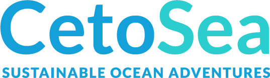 Sustainable Ocean Adventures